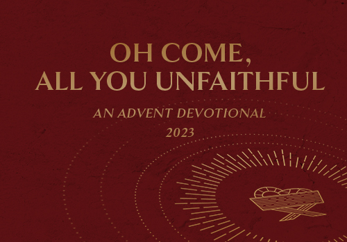 Advent 23_book web button The Update